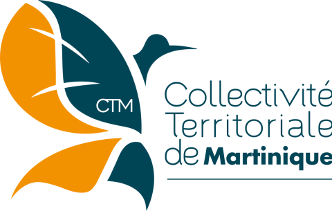 CTM